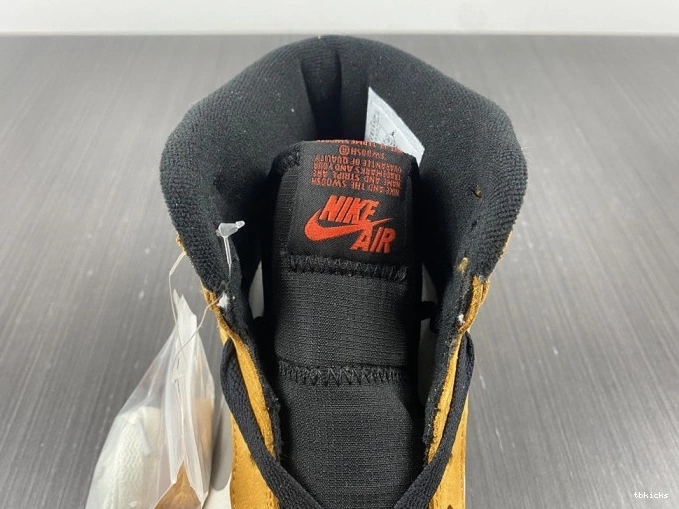 Rep TBK Light DB2889-700 Element Curry High Gore-Tex Jordan 1 0806